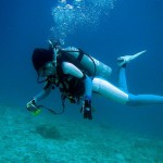 The best diving resorts 2012 year