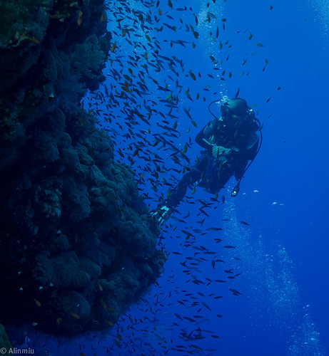 Дайвинг в Кемере – подводная экскурсия